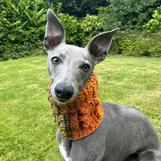 

Doggy Bobble - Schalkragen
1