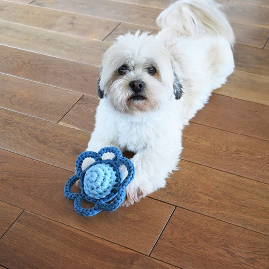 Blume - Hundespielzeug