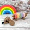 

Ringo der Regenbogenhund
5