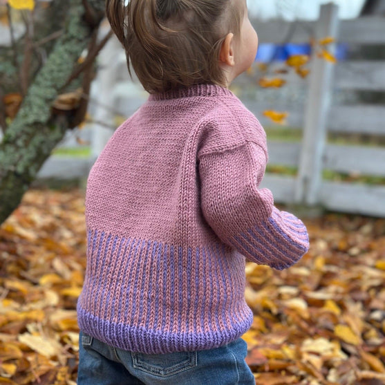 

Easy Colour Mix Sweater Junior - Pullover
1