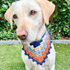 

Lola’s Bandana - Hunde Bandana
6