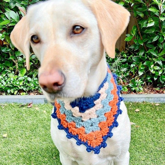 

Lola’s Bandana - Hunde Bandana
6