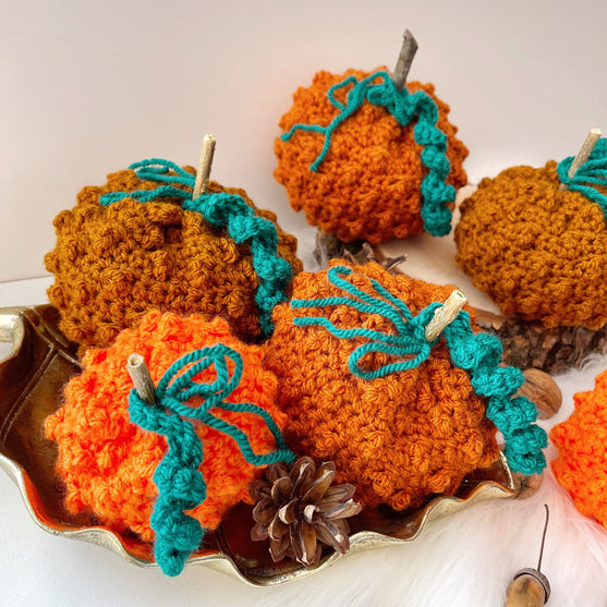 

Bumpy Pumpkin - Kürbis
4