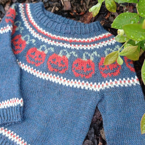 

Pumpkins - Kinderpullover
1