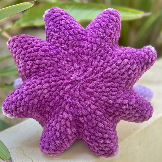 

Wade der Schirm-Oktopus
4