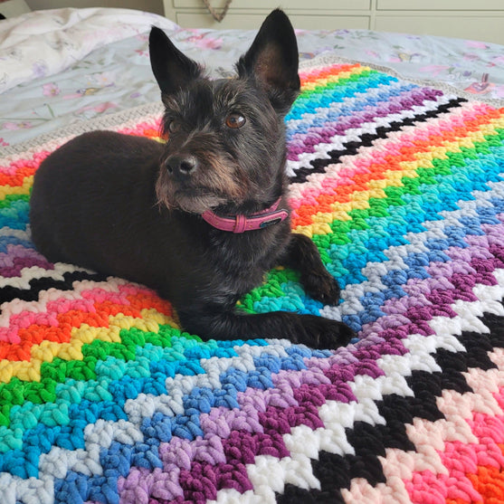 

The Rainbow Cuddle Blanket - Decke
5